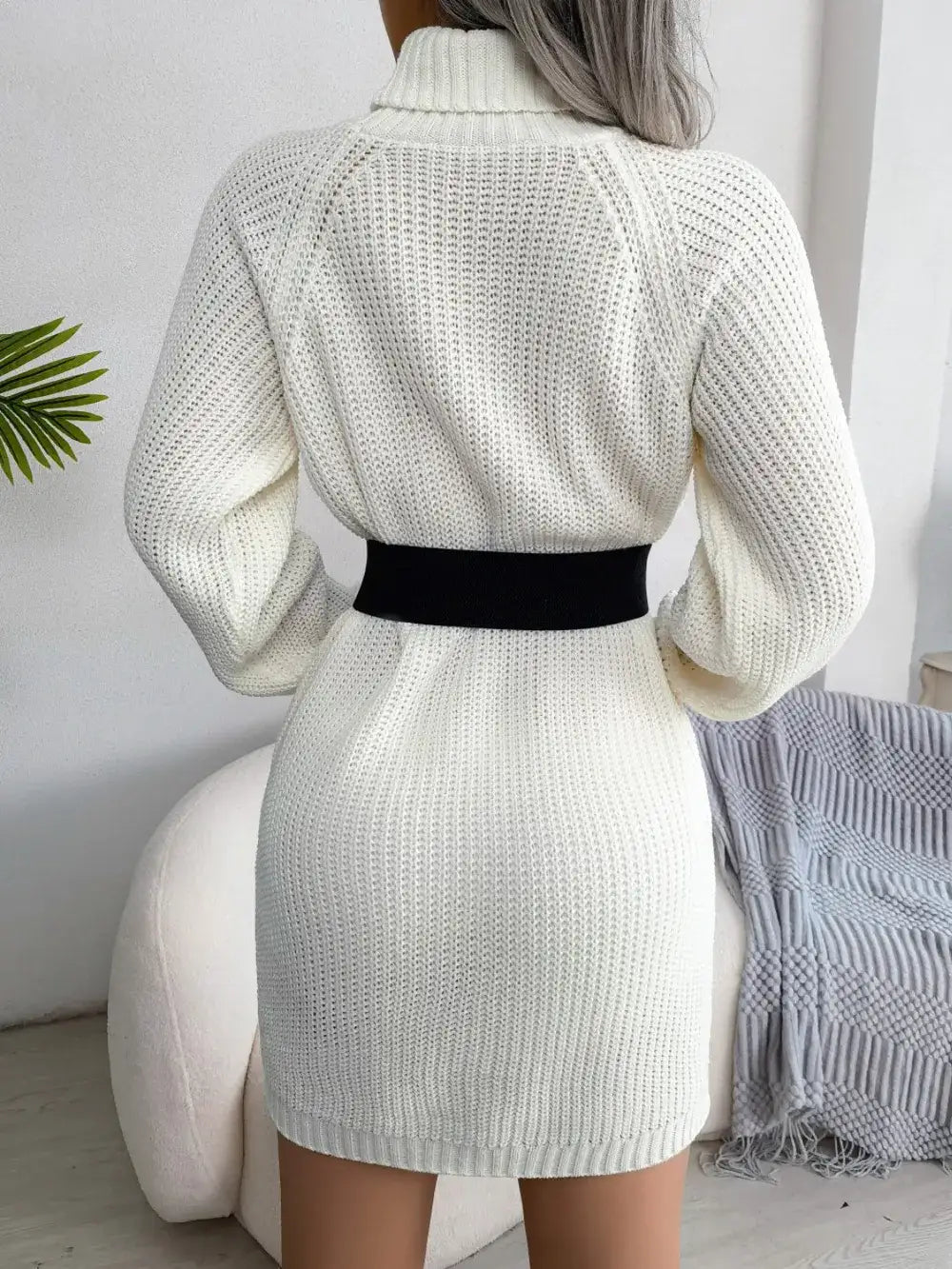 Back view of a cream Evie's Dreamland knit turtleneck sweater dress with a black belted waist.